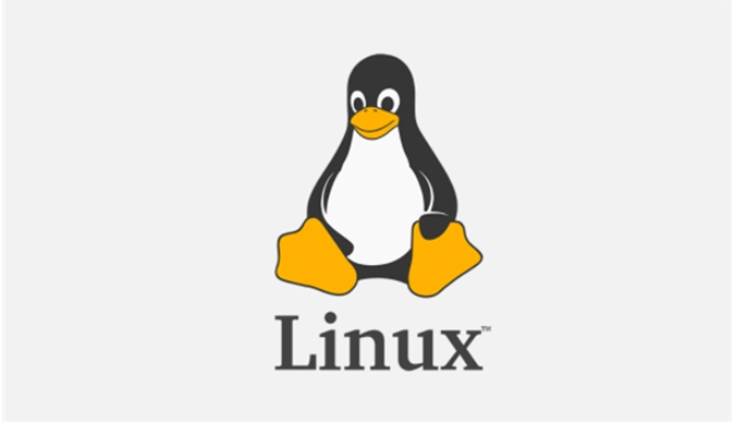 Linux系统安装MTR追路由